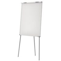 Magnetoplan chevalet "Junior SP", magnétique surface d'écriture: (L)660 x (H)950 mm, surface laquée, effacable à sec, trépied à hauteur réglable en continu jusqu'à 1,85 m, auget pour marqueurs intégré, couleur: argent astral, pliable, déjà monté