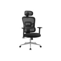 Fauteuil de bureau ergonomique noir d'encre