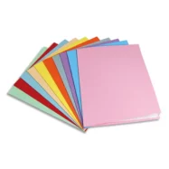 PERGAMY Paquet de 100 chemises carte 170 grammes coloris Assortis