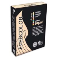 CLAIREFONTAINE Ramette de 500 feuilles papier couleur recyclé EVERCOLOR 80gr format A4 Saumon 40015