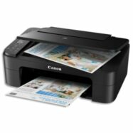 CANON Multifonction Jet d'encre TS3350 3771C006