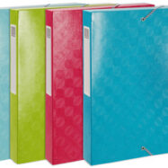 EXACOMPTA Boîte de classement ''1928'' en carte lustrée gaufrée pelliculée 7/10e Dos 4cm. Assortis