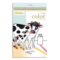 AVENUE MANDARINE Book 24 feuilles format 21 x 34cm à colorier Graffy Color, Maman/bébé La ferme