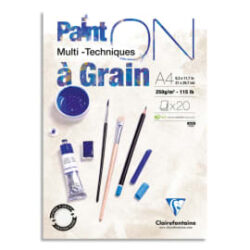 CLAIREFONTAINE Bloc PAINT'ON à Grain encollé A4 20F 250g