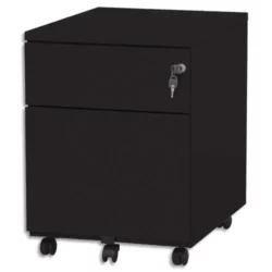 PIERRE HENRY Caisson mobile 2 tiroirs dont 1 pour dossiers suspendus L41,7 x H56,5 x P54,1 cm Noir
