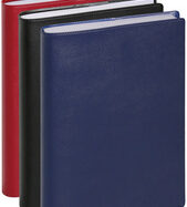 EXACOMPTA Agenda "Journal 17", 2023, Barbara,