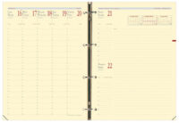 QUO VADIS Recharge "Timer 29 Prestige", 2025/2026, 16 mois