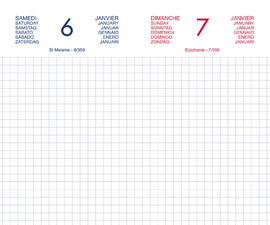 LECAS Agenda journalier Chantier, 2026, 90 x 150 mm, assorti
