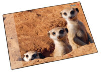 Läufer Sous-main "suricate", 400 x 530 mm