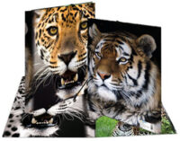 HERMA Chemise à élastique "Leopard", transparent, en PP,