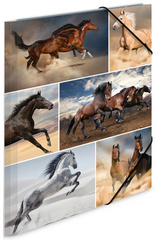 HERMA Chemise à élastiques "Chevaux", en carton, A4