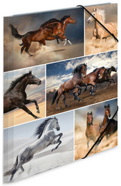 HERMA Chemise à élastiques "chevaux", carton, A3