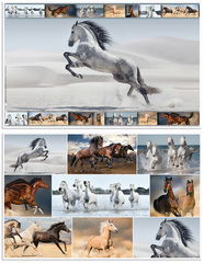 HERMA Sous-main "Chevaux", (L)550 x (H)350 mm
