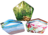 OLYMP Boîte à gazouillis, 4 sons, présentoir, blanc