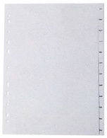 proOFFICE Intercalaires en plastique, A4, Jan. - Déc. (FR)