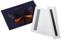 magnetoplan Pochette magnétique magnetofix, A4 portrait