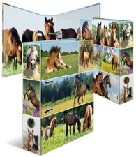 HERMA Classeur à levier "Monde animal", Cheval dans le pré