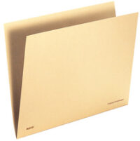 LEITZ Sous-dossier Orgacolor, format A4, chamois