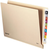 LEITZ sous-dossier OrgacolorPlus, A4, avec onglet, chamois