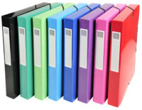 EXACOMPTA Boîte de classement Iderama, carton, A4, rose