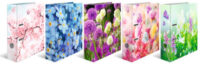 HERMA Assortiment de classeurs à motifs "Fleurs