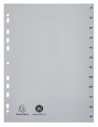 EXACOMPTA Intercalaires mensuels Janvier-Décembre, A4+