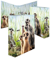 HERMA Classeur à motifs "Suricates", A4, largeur dos: 70 mm