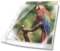 DURABLE Pochette perforée PREMIUM, A4, PP, bord blanc