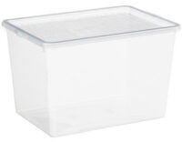 Plast team Boîte à chaussures BASIC BOX, High Heels