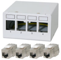 LogiLink Panneau de brassage cat.6A, 12 ports, gris clair
