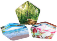 OLYMP Boîte à gazouillis Sounds of Nature, 4 sons, blanc