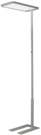 Hansa Lampadaire LED Capella, (H)2.020 mm, gris argent