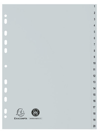 EXACOMPTA Intercalaire numérique en plastique, A4, gris