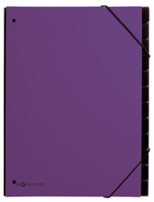 PAGNA Trieur Trend, A4, 12 compartiments, violet