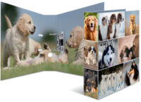 HERMA Classeur à levier à motifs "Animals", A4, chiens