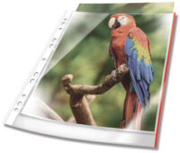 DURABLE Pochette perforée PREMIUM, A4, PP, bord rouge