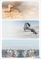 HERMA Étiquette pour livre "Chevaux", 76 x 35 mm