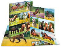 HERMA Chemise à élastiques "Chevaux dans le pré", carton, A3