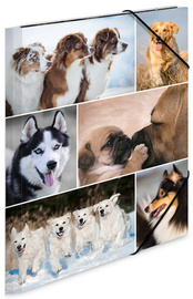 HERMA Chemise à élastiques "chiens", carton, A3