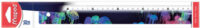 Maped Règle plate DEEPSEA PARADISE, 300 mm, en plastique
