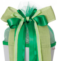 ROTH Schultütenschleife "Fresh Green", grün