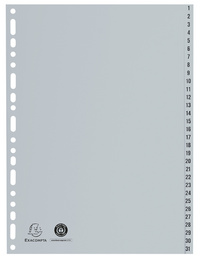 EXACOMPTA Intercalaire numérique en plastique, A4+, gris