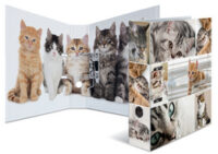HERMA Classeur à levier à motifs "Animals", A4, chats