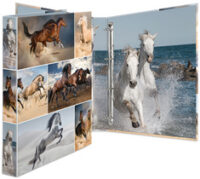 HERMA Classeur à anneaux "chevaux", A4, mécanisme 4 anneaux