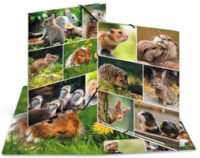 HERMA Chemise à élastiques "Rongeurs", carton, A4