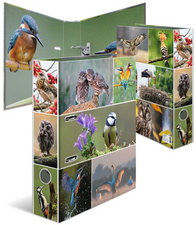 HERMA Classeur à levier "Monde animal", Oiseaux