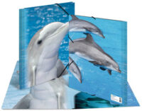 HERMA chemise élastique "dauphin", transparent, en PP, A3,