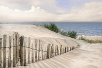 PAPERFLOW Poster mural "Dunes", en plexiglas