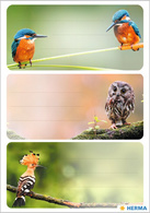 HERMA Étiquette pour livre "Oiseaux