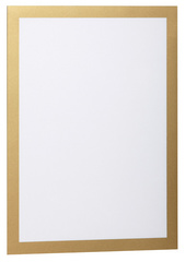 DURABLE Cadre d'affichage magnétique DURAFRAME, A4, or